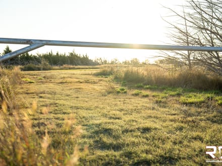 ONLINE AUCTION: The Ultimate Ellis County Recreational Farm, 159.6 +/- Acres In Northeast Ellis County, KS