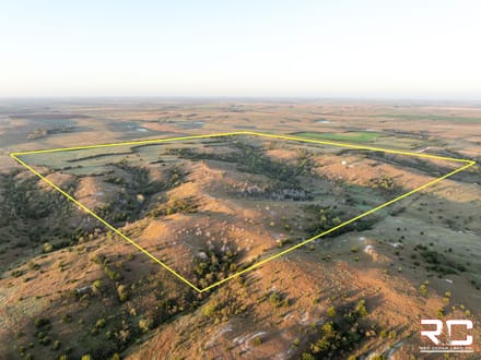 ONLINE AUCTION: The Ultimate Ellis County Recreational Farm, 159.6 +/- Acres In Northeast Ellis County, KS