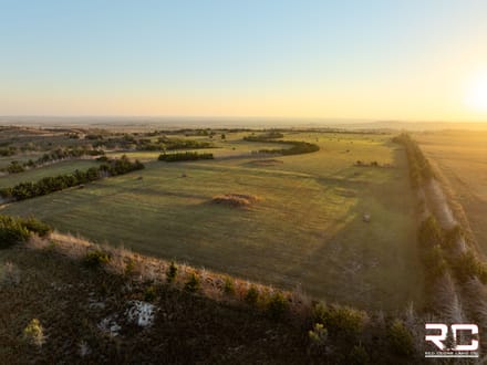 ONLINE AUCTION: The Ultimate Ellis County Recreational Farm, 159.6 +/- Acres In Northeast Ellis County, KS