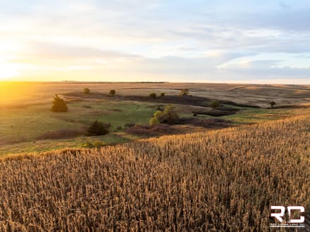 ONLINE AUCTION: "The Norton County 81" Mixed Use Tillable + BONUS Hunting Tract In Northwest Norton County, KS