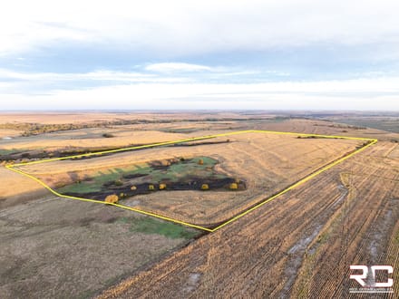 ONLINE AUCTION: "The Norton County 81" Mixed Use Tillable + BONUS Hunting Tract In Northwest Norton County, KS