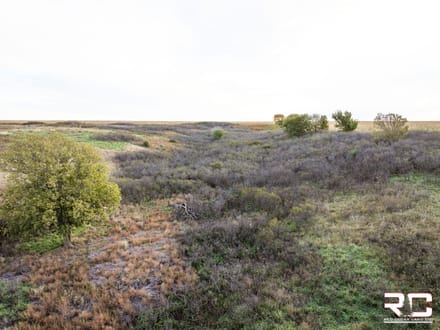 ONLINE AUCTION: "The Norton County 81" Mixed Use Tillable + BONUS Hunting Tract In Northwest Norton County, KS
