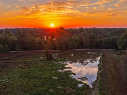 Heritage Oaks Ranch - 103 Acres Premier Deer and Duck Hunting Lamar County 