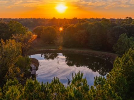 Heritage Oaks Ranch - 103 Acres Premier Deer and Duck Hunting Lamar County 