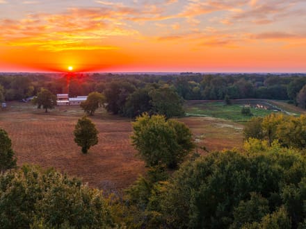 Heritage Oaks Ranch - 103 Acres Premier Deer and Duck Hunting Lamar County 