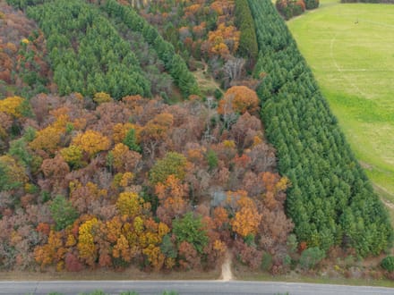 Waushara 10