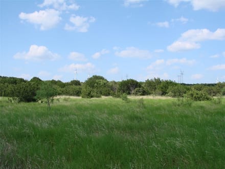1046.74 Acres in Taylor County