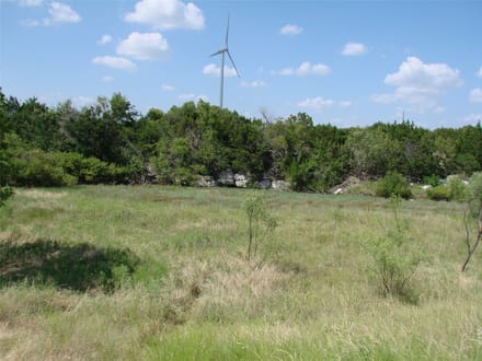 1046.74 Acres in Taylor County