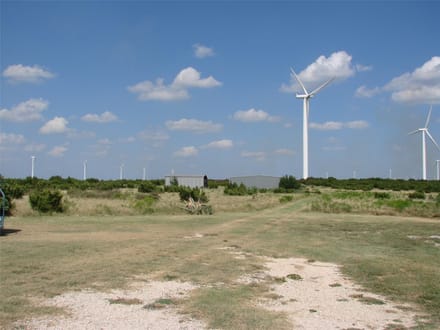 1046.74 Acres in Taylor County