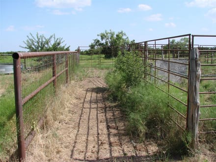 1046.74 Acres in Taylor County