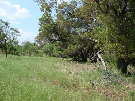 1046.74 Acres in Taylor County