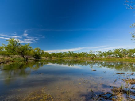 Ocho Lagos Ranch- 272 ± Acres in Coleman County