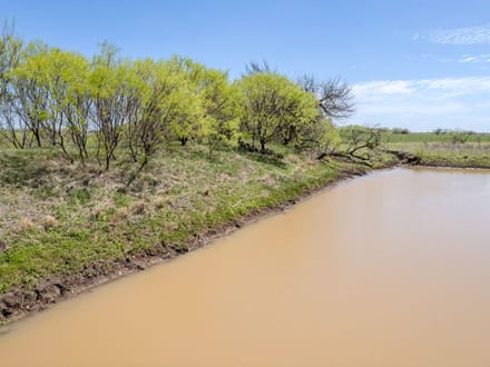 85.81 Acres in Coleman County