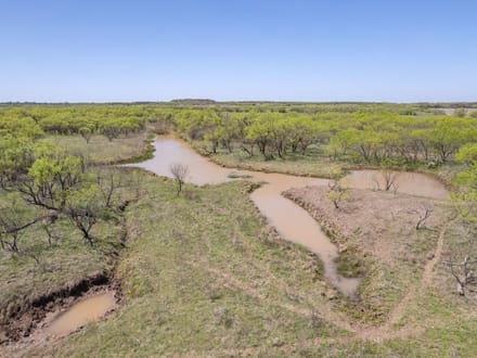 85.81 Acres in Coleman County