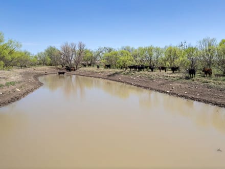 85.81 Acres in Coleman County