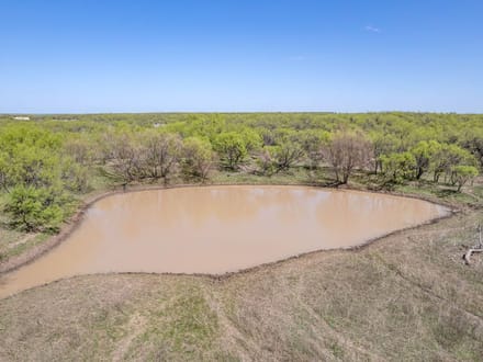 85.81 Acres in Coleman County