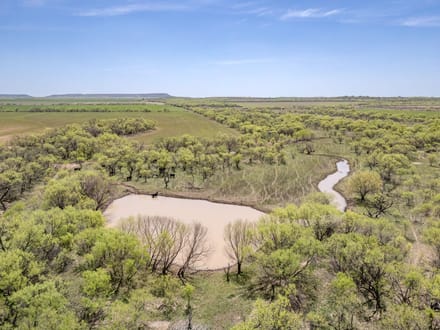 85.81 Acres in Coleman County