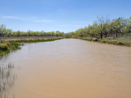 85.81 Acres in Coleman County