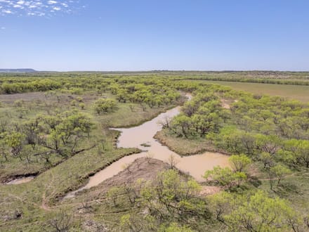 85.81 Acres in Coleman County