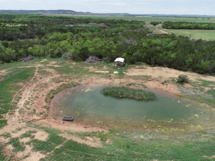 161 ± Acres & Home in Taylor County