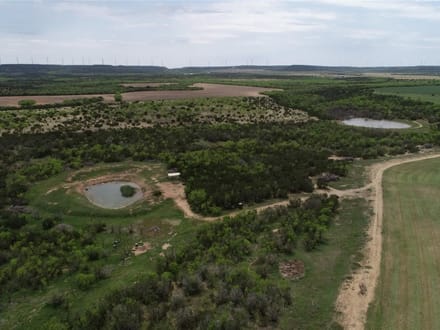 161 ± Acres & Home in Taylor County