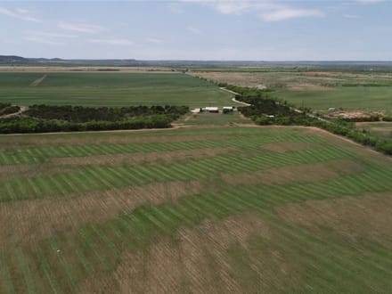 161 ± Acres & Home in Taylor County