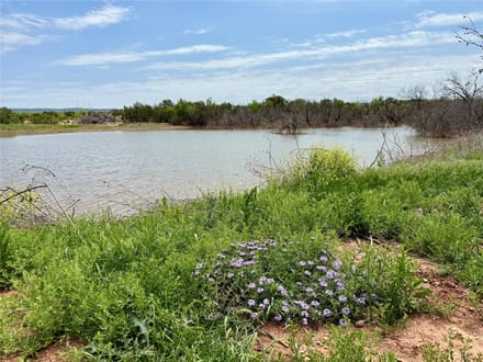 161 ± Acres & Home in Taylor County