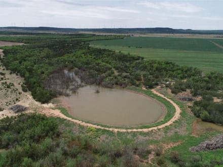 161 ± Acres & Home in Taylor County
