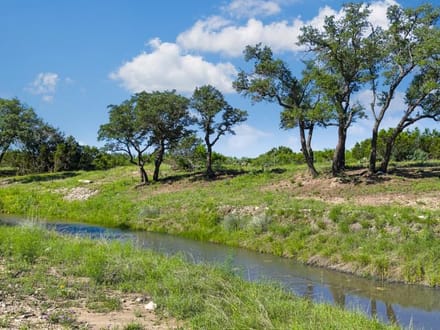 76.63 Acres in Menard County