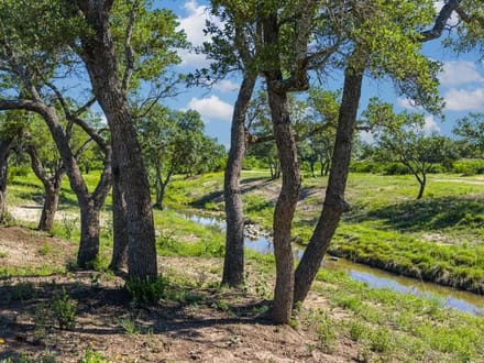 76.63 Acres in Menard County