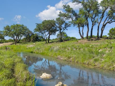 76.63 Acres in Menard County