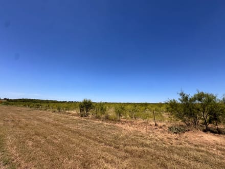 96.01 Acres in Coleman County