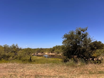96.01 Acres in Coleman County