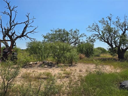 42.34 Acres in Coleman County