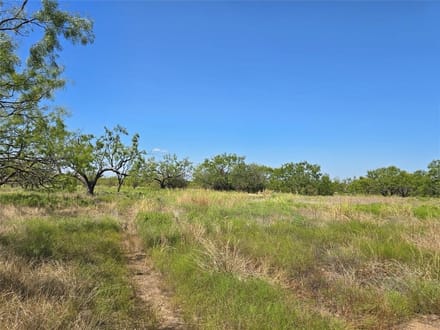 42.34 Acres in Coleman County