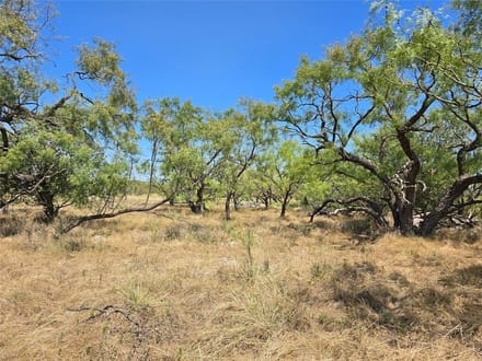 42.34 Acres in Coleman County