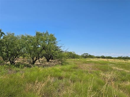 42.34 Acres in Coleman County