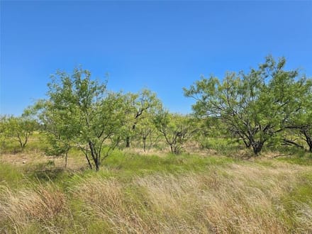 42.34 Acres in Coleman County