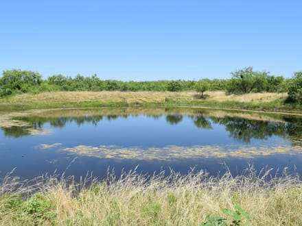 34.81 ± Acres in Coleman County