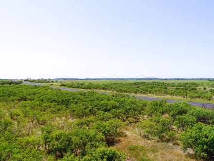 34.81 ± Acres in Coleman County