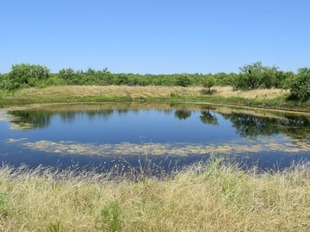 34.81 ± Acres in Coleman County