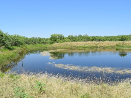 34.81 ± Acres in Coleman County