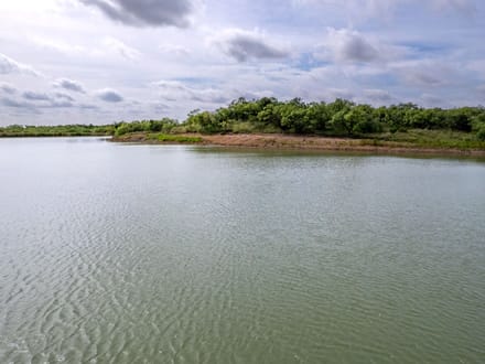 154.40 Acres in Coleman County
