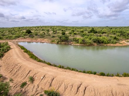 154.40 Acres in Coleman County