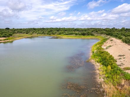154.40 Acres in Coleman County