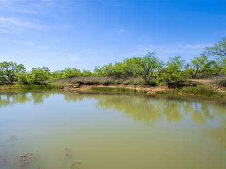 40.69  Acres (South Tract) in Coleman County