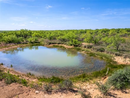 40.69  Acres (South Tract) in Coleman County