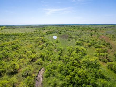 40 ± Acres (North Tract) in Coleman County