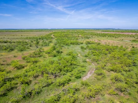 40 ± Acres (North Tract) in Coleman County
