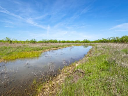 40 ± Acres (North Tract) in Coleman County